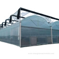 Ventilation System of Solar energy Green House